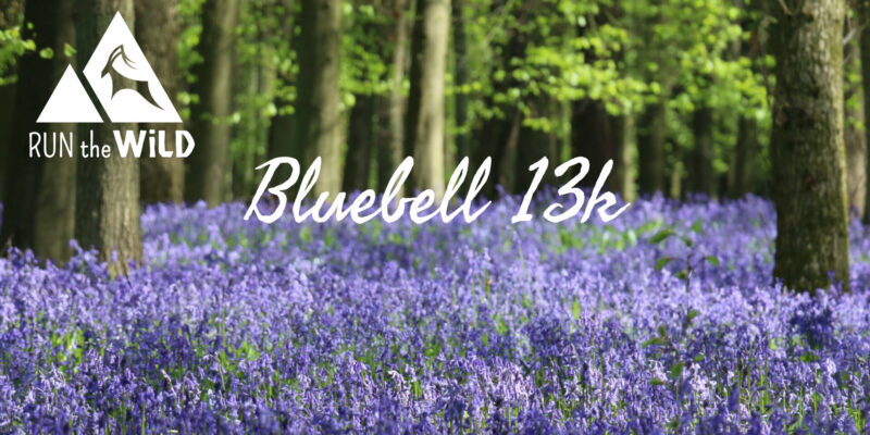 Bluebell13k
