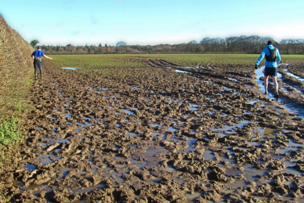runthewildmud3 runthewildmud3